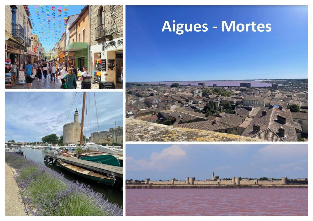 Saint-Laurent-dʼAigouze Le Mazet Sooksabai, Confort, Charme Et Decouverte En Petite Camargue מראה חיצוני תמונה